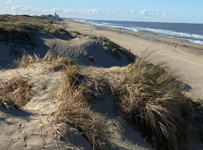 Het Sandhuisje Appartement Zandvoort
